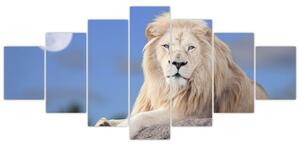 Obraz - Bílý lev (210x100 cm)