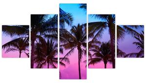 Obraz - Palmy v Miami (125x70 cm)