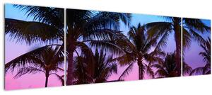 Obraz - Palmy v Miami (170x50 cm)