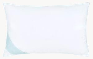 Péřový polštář Comfort, tvrdý