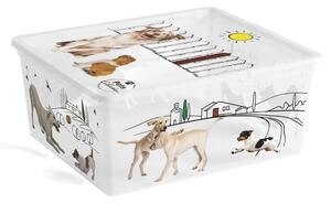 Bílý plastový úložný box s víkem 40x34x17 cm C Box Style – KIS