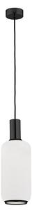 Argon 8563 - Lustr na lanku SAGUNTO PLUS 1xE27/15W/230V pr. 14 cm černá