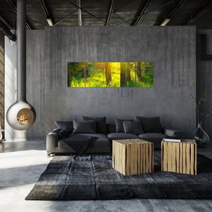 Obraz - Jarní probouzení lesa (170x50 cm)