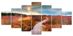Obraz - Podzimní cesta krajinou (210x100 cm)