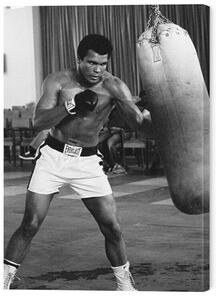 Obraz na plátně Muhammad Ali - Punch Bag