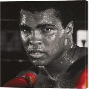 Obraz na plátně Muhammad Ali - Boxing Gloves