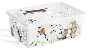 Bílý plastový úložný box s víkem 37x26x15 cm C Box Style – KIS