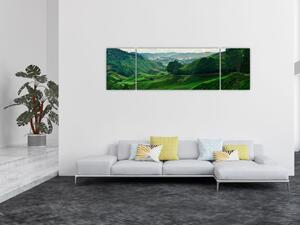 Obraz - Čajové plantáže v Malajsii (170x50 cm)
