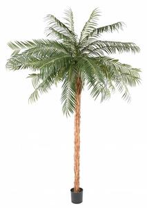 Umělá Phoenix palma přírodní kmen, 340cm