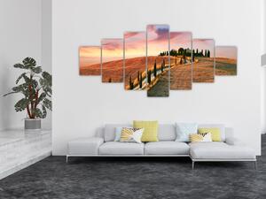 Obraz - Dům na kopci, Toskánsko, Itálie (210x100 cm)