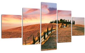 Obraz - Dům na kopci, Toskánsko, Itálie (125x70 cm)