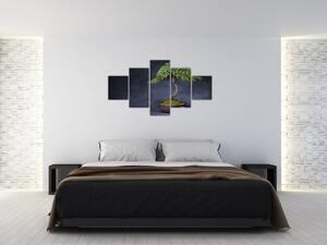 Obraz - Bonsai (125x70 cm)