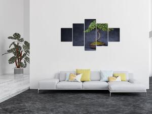 Obraz - Bonsai (125x70 cm)