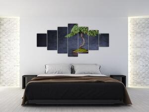 Obraz - Bonsai (210x100 cm)