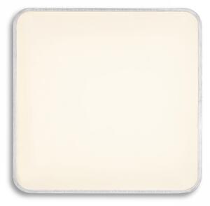 Rendl - Design Přisazené svítidlo Mensa SQ 40 stropní Barva: Bílá
