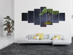 Obraz - Bonsai (210x100 cm)