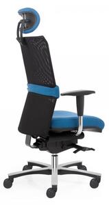 Zdravotní židle Reflex Balance XL