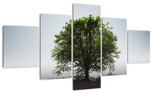 Obraz - Osamocený strom (125x70 cm)