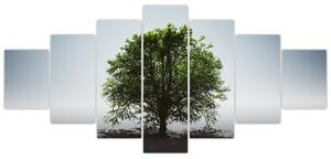 Obraz - Osamocený strom (210x100 cm)
