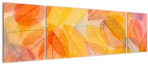 Obraz - Pozadí z podzimního listí (170x50 cm)