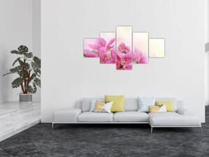 Obraz - Růžové květy (125x70 cm)