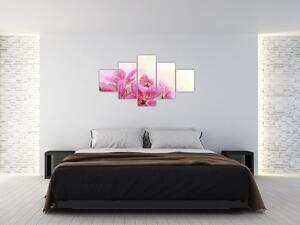 Obraz - Růžové květy (125x70 cm)