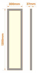 LED Přisazený panel LED/60W/230V 30x120 cm bílá