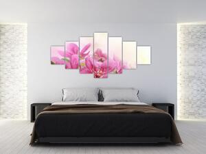 Obraz - Růžové květy (210x100 cm)
