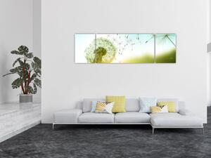 Obraz - Pampeliška ve větru (170x50 cm)