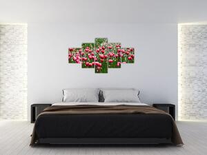 Obraz tulipánů (125x70 cm)
