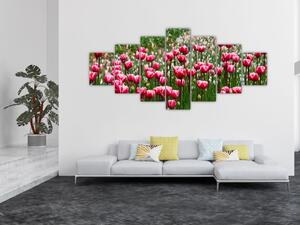 Obraz tulipánů (210x100 cm)