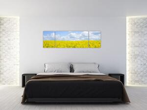 Obraz žlutého pole (170x50 cm)