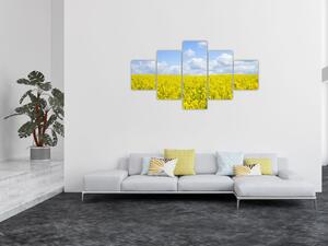 Obraz žlutého pole (125x70 cm)