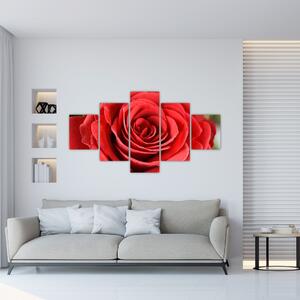 Obraz květu růže (125x70 cm)
