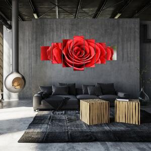 Obraz květu růže (210x100 cm)