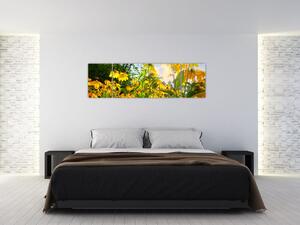 Obraz žlutých květin (170x50 cm)