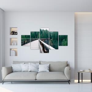 Obraz - Most k vrcholkům stromů (125x70 cm)