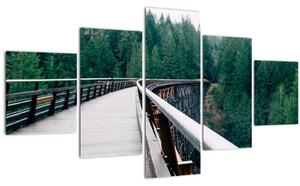 Obraz - Most k vrcholkům stromů (125x70 cm)