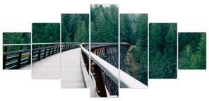 Obraz - Most k vrcholkům stromů (210x100 cm)