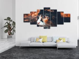 Obraz - Pohled kočky (210x100 cm)