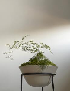 Audo Copenhagen designové květináče Daiza Planter (Ø25 x 65 cm)