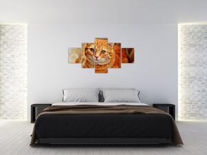 Obraz ležící kočky (125x70 cm)