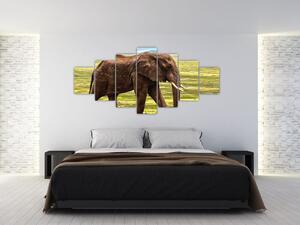 Obraz slona (210x100 cm)
