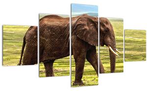 Obraz slona (125x70 cm)