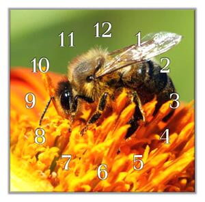 Nástěnné hodiny 30x30cm včela na květu - kalené sklo