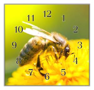Nástěnné hodiny 30x30cm včela na žlutém květu - plexi