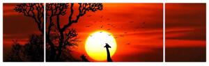 Obraz - Siluety zvířat při západu slunce (170x50 cm)