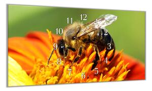 Nástěnné hodiny 30x60cm včela na květu - plexi
