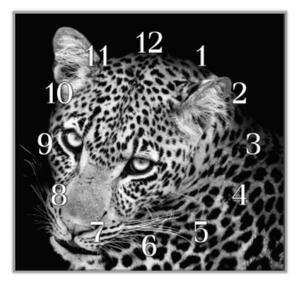 Nástěnné hodiny leopard v bílé a černé - plexi