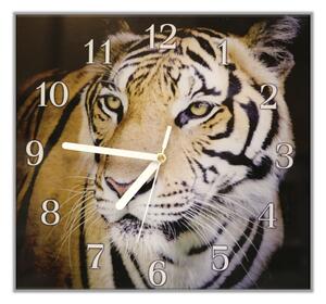 Nástěnné hodiny 30x30cm šelma tygr zlatý - plexi